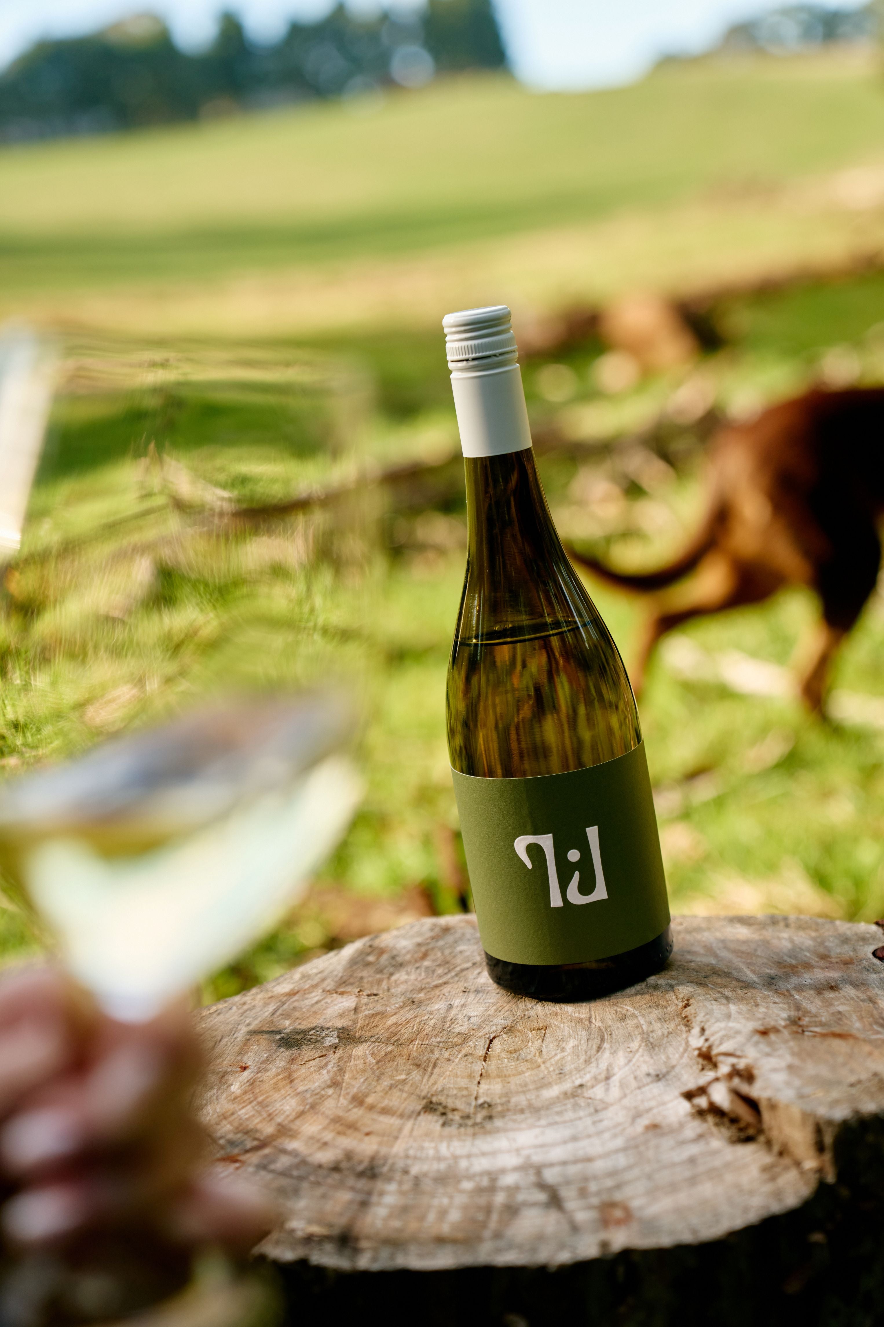 2025 Yarra Valley Chardonnay