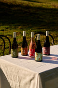 Tillie J Wine Club - Bi-annual Plan