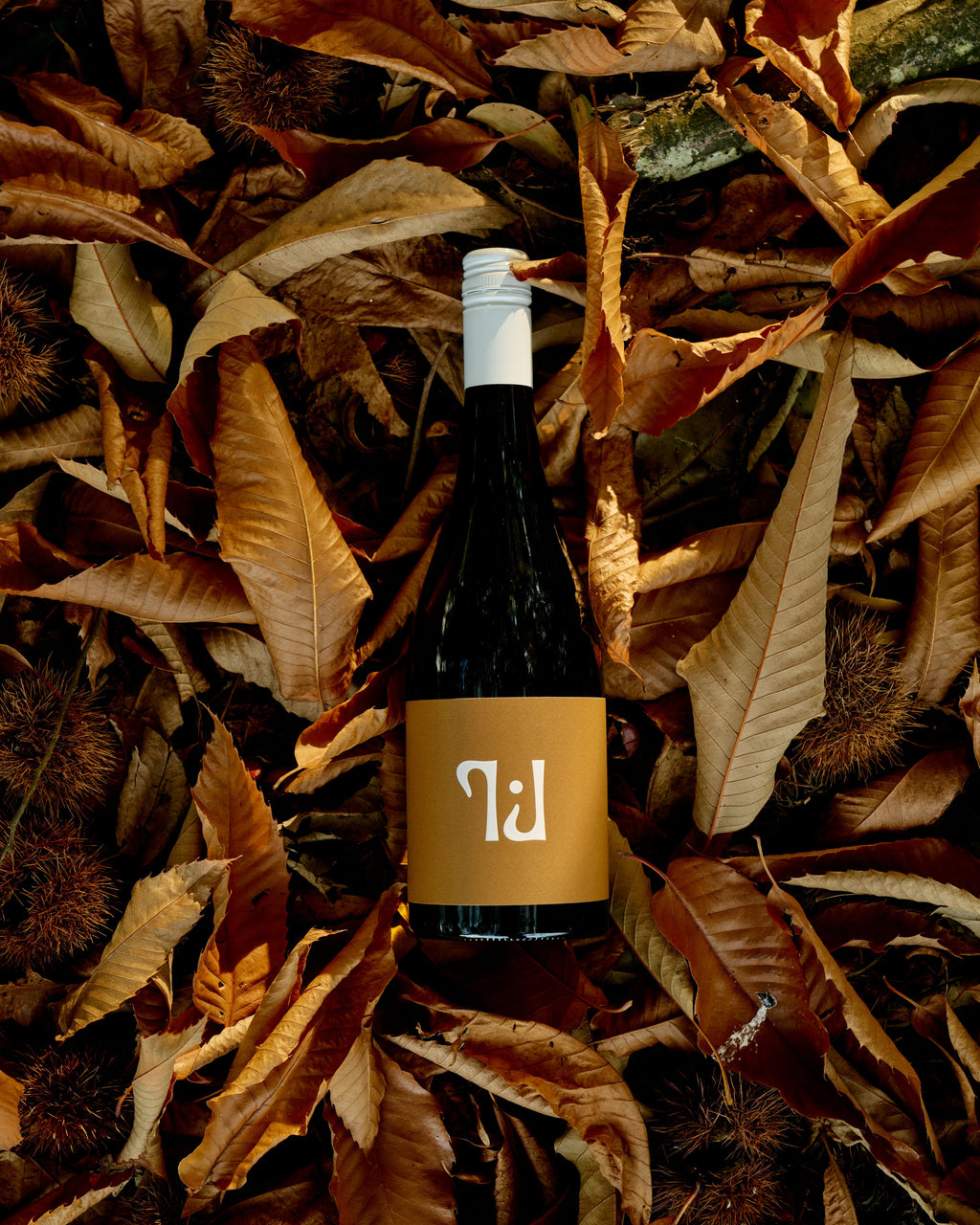 2024 King Valley Aligoté