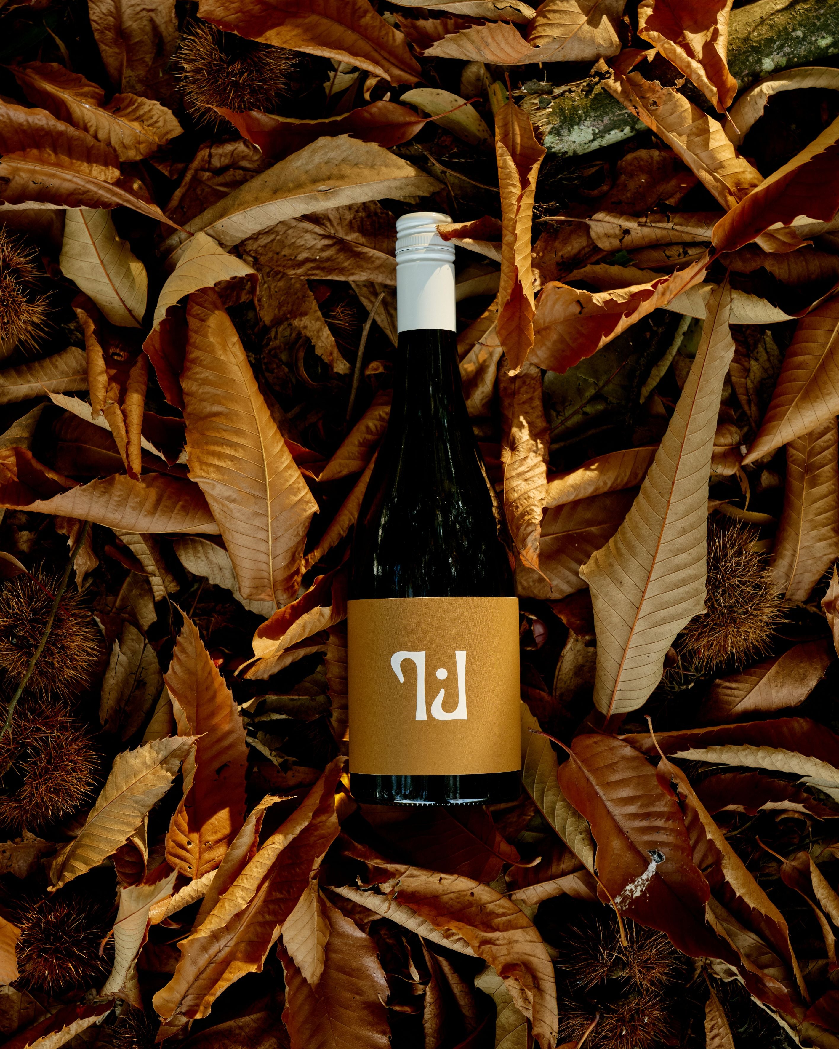 2025 King Valley Aligoté